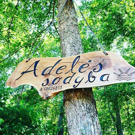 Adeles Sodyba Sturmai Luaran gambar