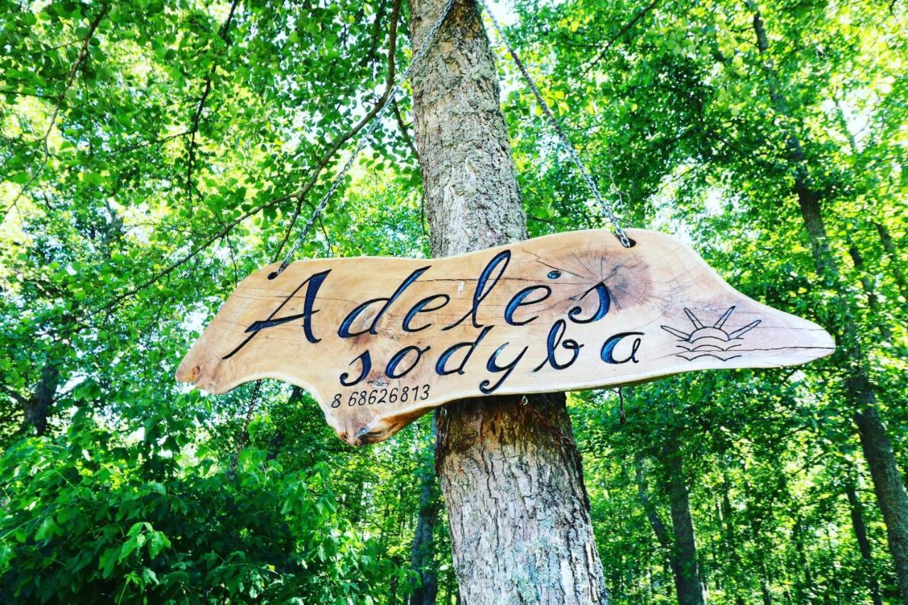 Adeles Sodyba Sturmai Luaran gambar