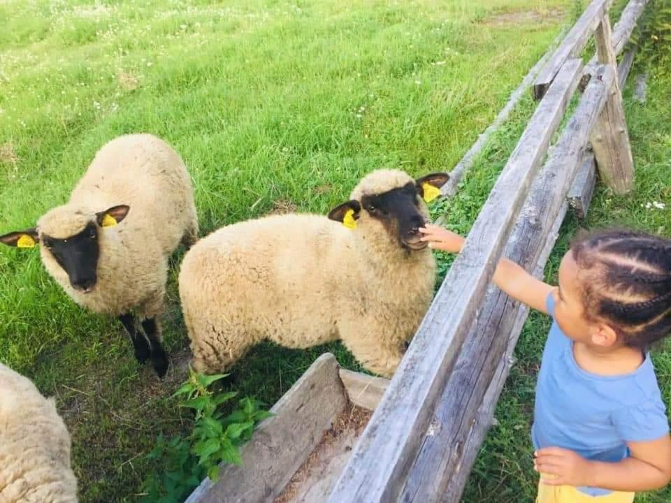 Adeles Sodyba Sturmai Luaran gambar